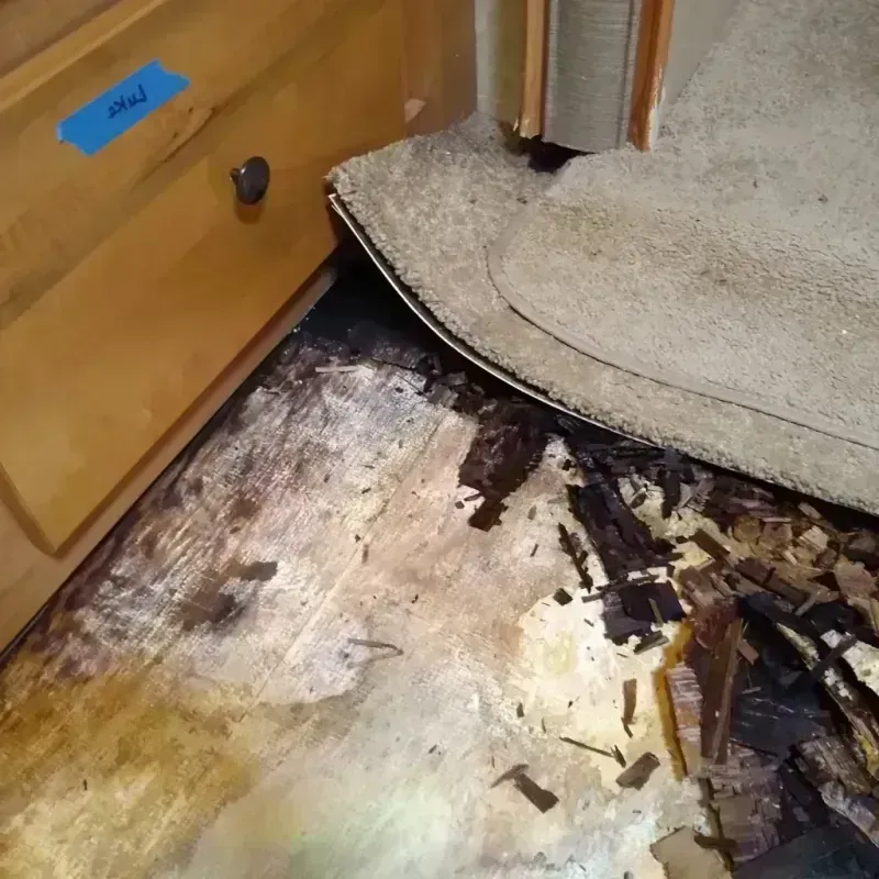 Wood Floor Water Damage in Marquette County, WI